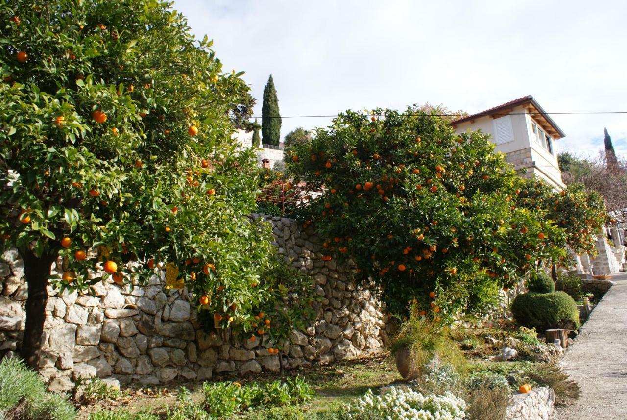 Three Oranges Lejlighed Trsteno Eksteriør billede