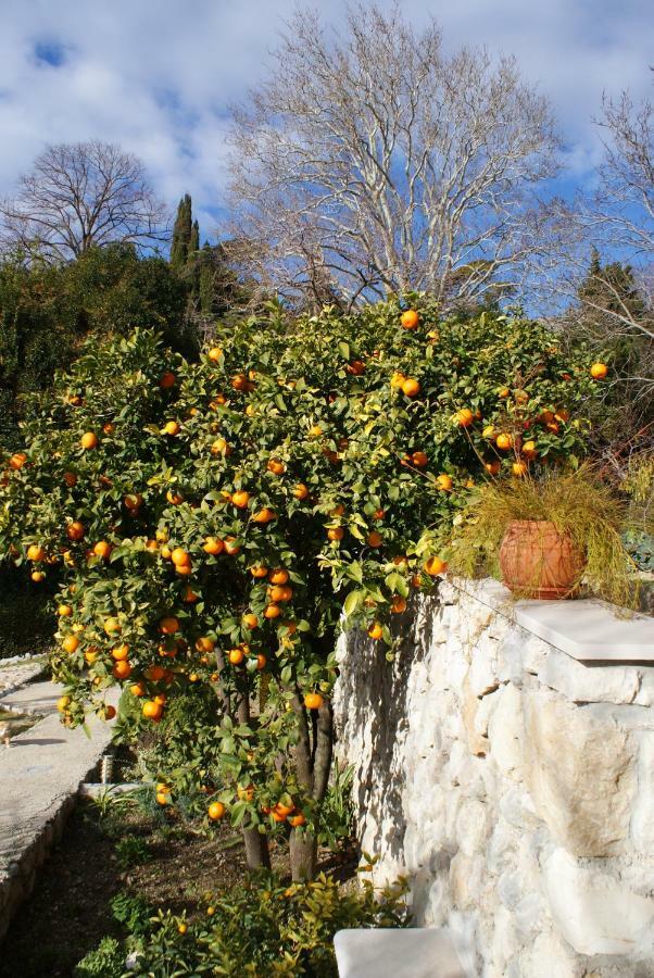 Three Oranges Lejlighed Trsteno Eksteriør billede